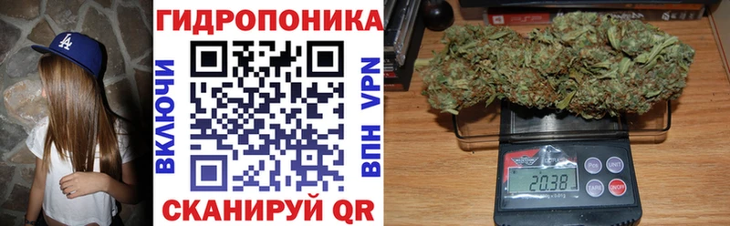 Бошки Шишки White Widow  купить закладку  Буй 